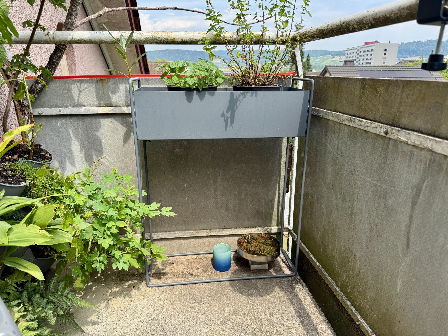 Vasi per fiori: Übertopf / Aufbewahrung / Blumenkasten – Usato da Schlieren venduto da Edgar_k
