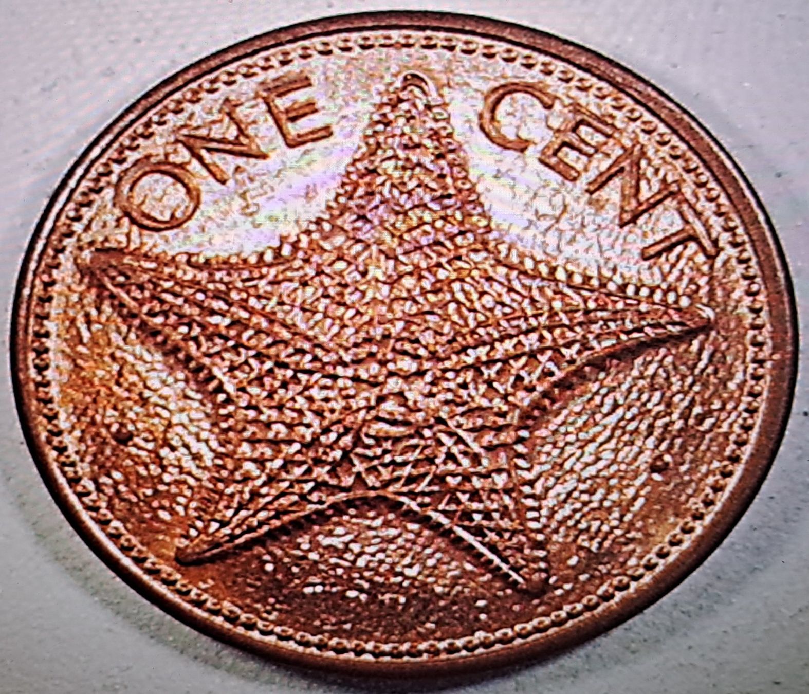 Alle Münzen: Bahamas 1 Cent, 1985 – Gebraucht aus Tenniken von mik_6mxg 2