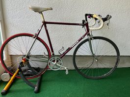 VELO AVEC HOMETRAINER