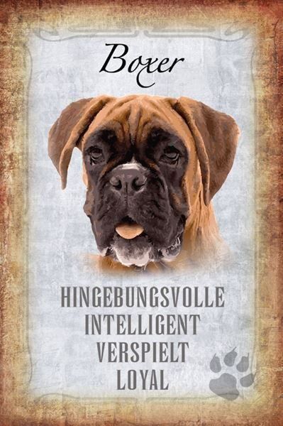 Insegne: Blechschild-STECKBRIEF-BOXER HUND – Nuovo e nell'imballaggio originale da Rupperswil venduto da big-one-sale
