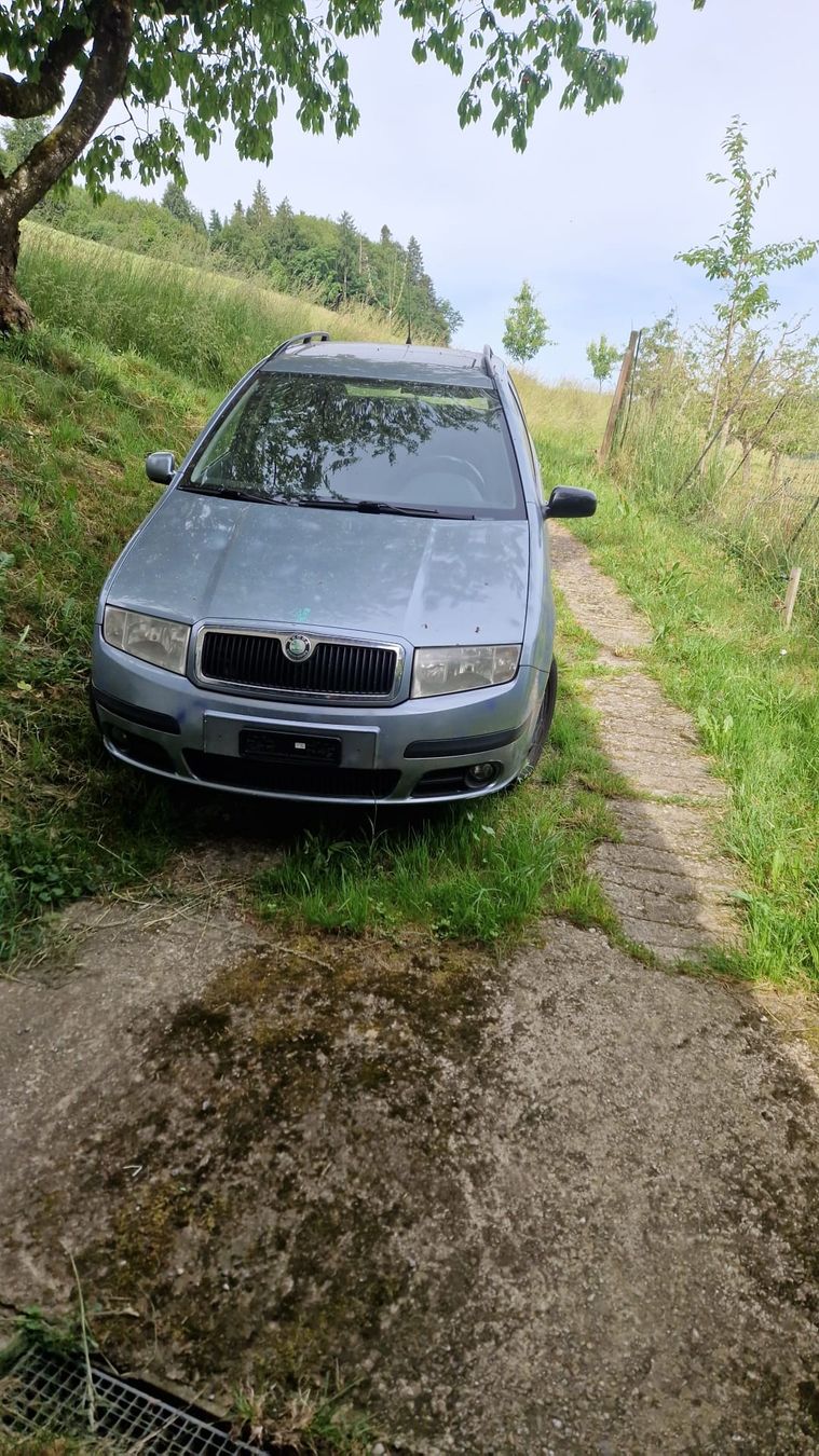 Skoda Automobili: Skoda Fabia Combi 1.9 TDi – Usato da Buchs LU venduto da Bambi97 1