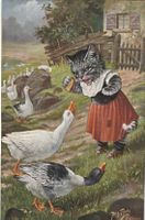 Arthur Thiele Katze mit Gänsen