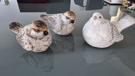 Schöne Vogel - Schar