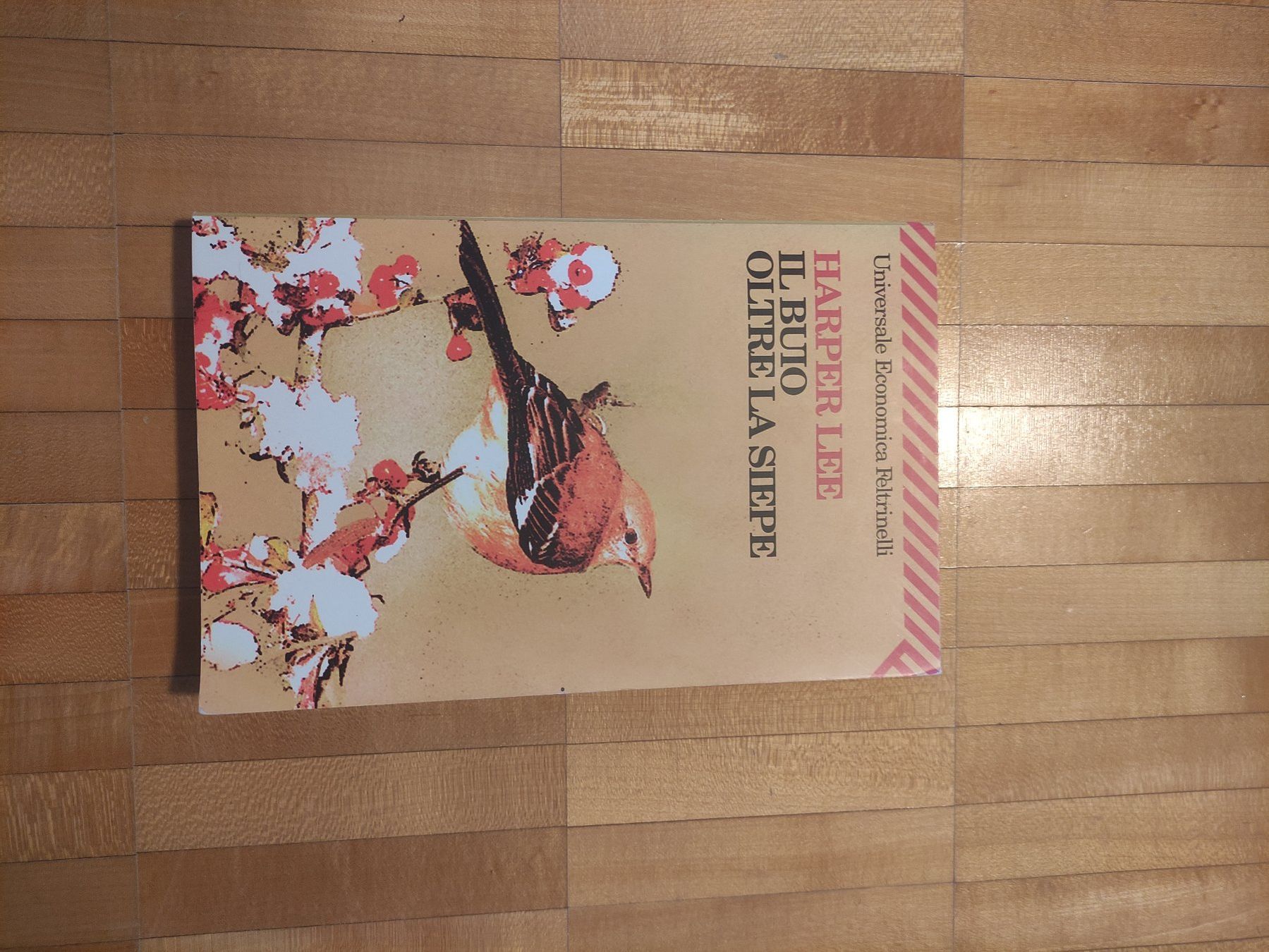 Libri: Il buio oltre la siepe - Harper Lee – Usato da Gordola venduto da eliafavero