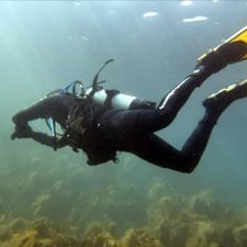 Profile image of scubaibis