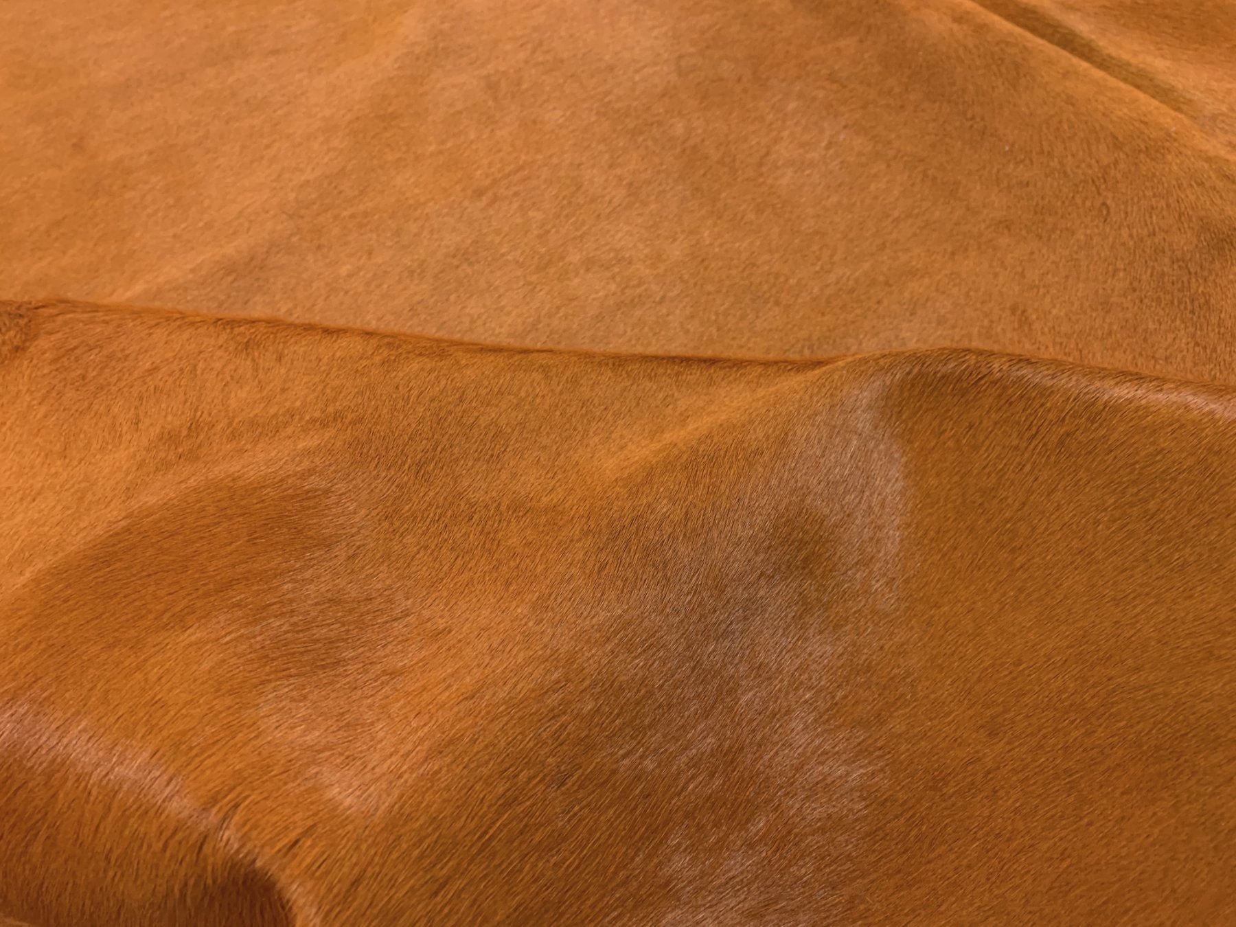 Tappeti: echtes Kuhfell Teppich orange – Nuovo e nell'imballaggio originale da Arbedo venduto da patagonialeatherrugs 1