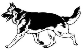 Auto Aufkleber 115 – Schäferhund–11,6x20
