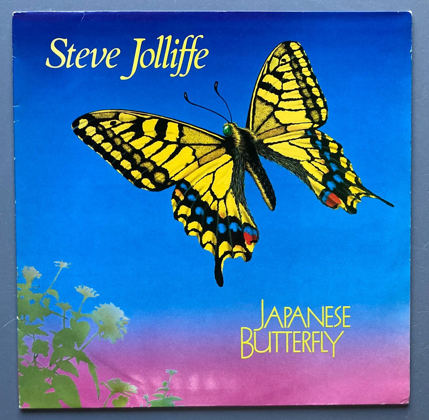 Vinyles: STEVE JOLIFFE - JAPANESE BUTTERFLY – D'occasion à Poliez-Pittet par Newtown-Records