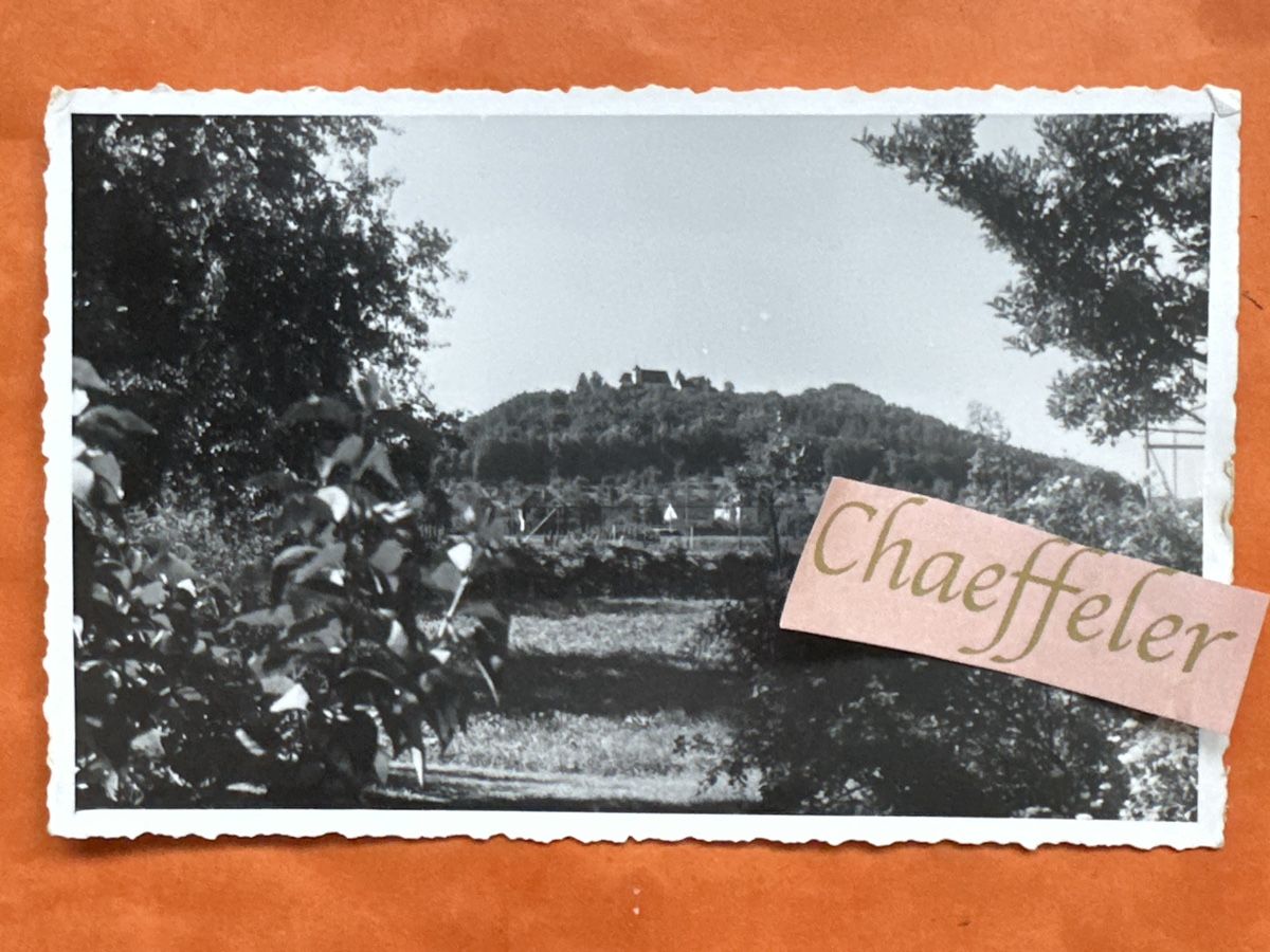 Cartoline postali: Ansichtskarte möglicherweise Region, Lenzburg – Usato da Zürich venduto da Chaeffeler