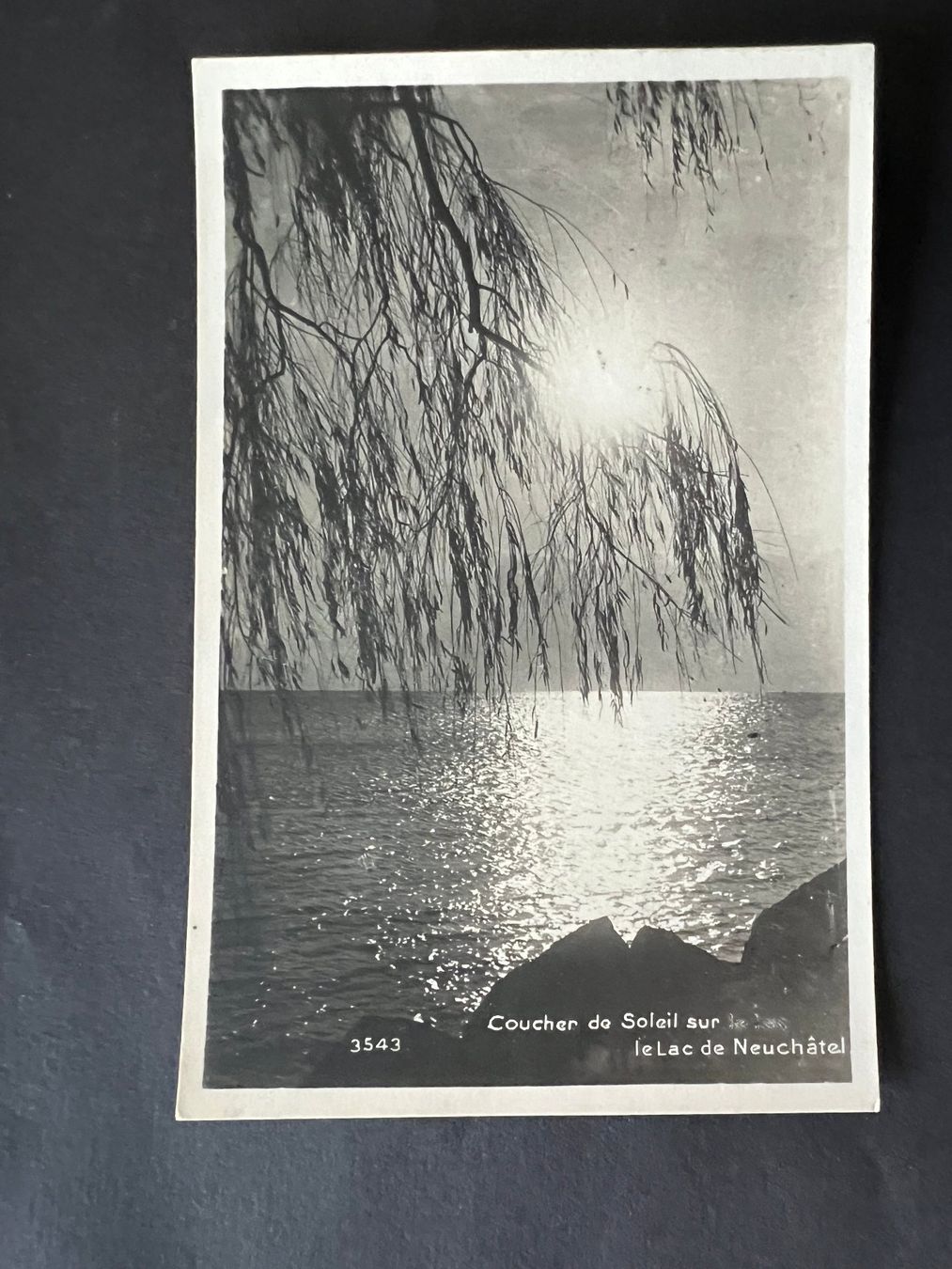 Cartoline postali: AK 1933 Neuenburgersee  (V720) – Usato da Hinwil venduto da Sidi4
