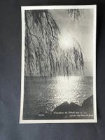 AK 1933 Neuenburgersee  (V720)