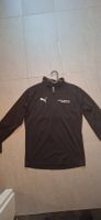 pul GSHC puma