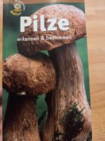 Pilze erkennen & bestimmen: Naturführer für Sammler 🍄