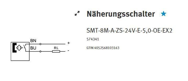 Interruttori: Näherungsschalter-Festo T-Nut – Nuovo (secondo la descrizione) da Hägendorf venduto da nevecon 2