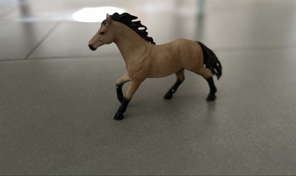 Schleich Giocattoli: Scleich Pferde – Usato da Fislisbach venduto da TamaCh81 5