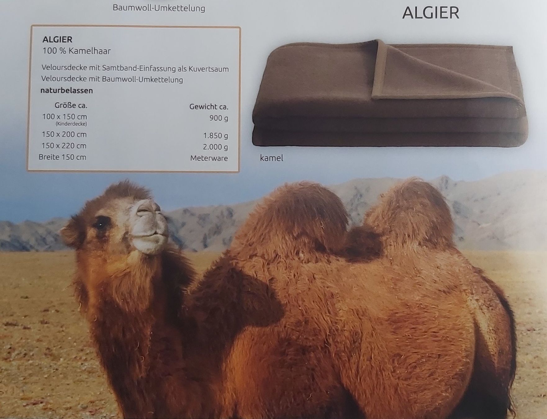 Decken: Kuscheldecke 100% Kamelhaar Veloursdecke wärmend und weich – Neu und originalverpackt aus Bad Lausick von voxtrade 2