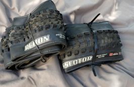 MTB Reifenpaar 29Zoll - Maxxis Rekon / Dissector / NEU