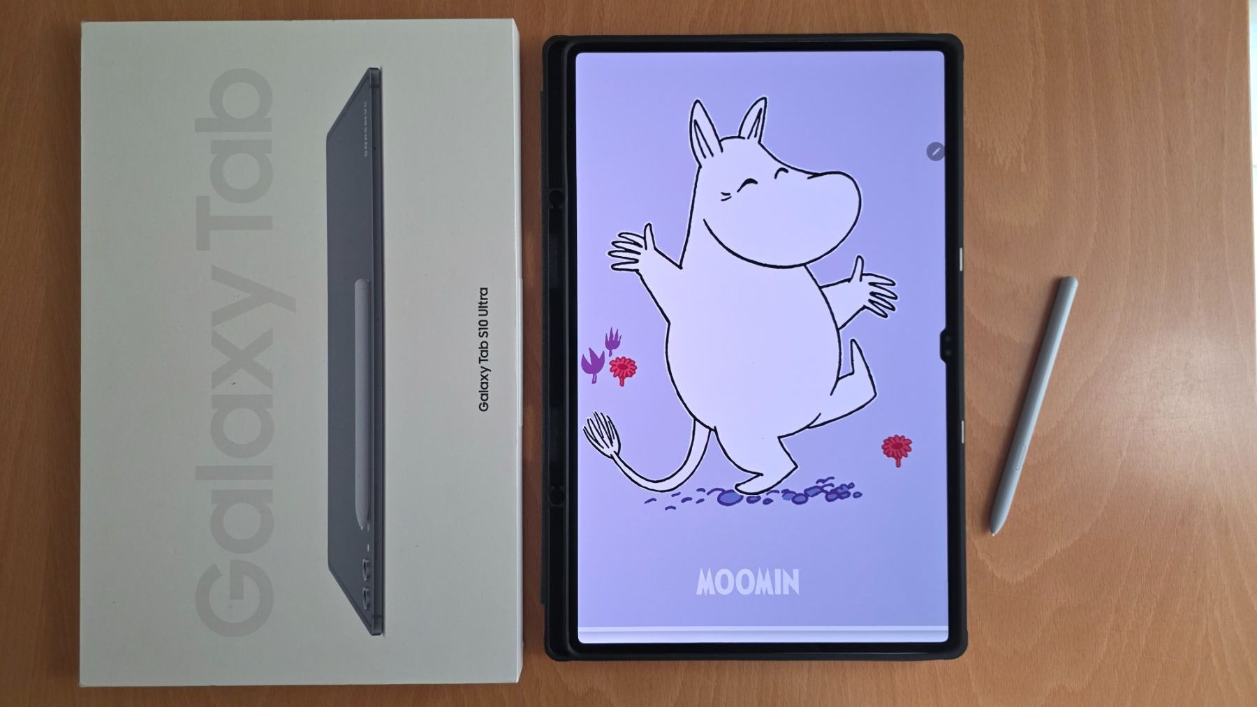 Samsung Tablet PC: Samsung Galaxy Tab S10 Ultra 512 GB – Gebraucht aus Zürich von Rakunyo