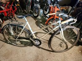 TIGRA Damenvelo Columbus  Rahmen 7 Gang Shimano Light Action