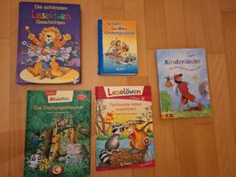5 Bücher für Leseanfänger Leselöwen