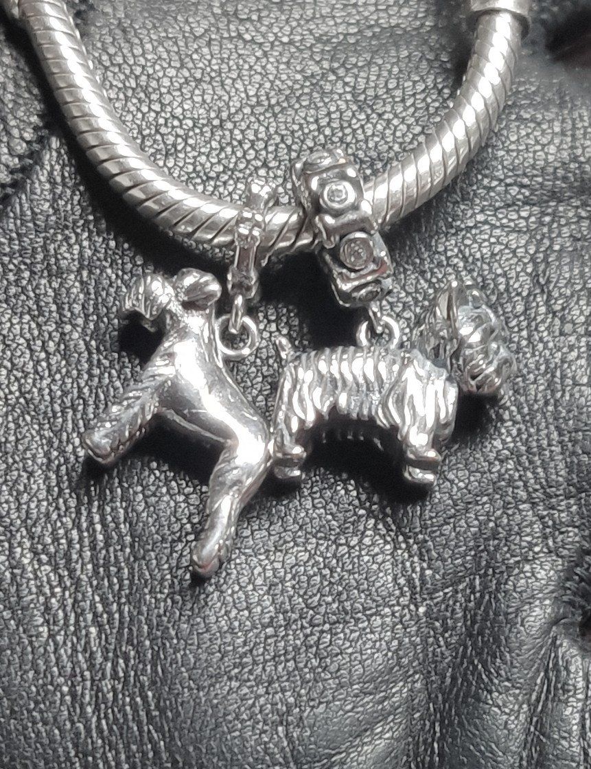 Ciondoli: Charm Hunde für Armbänder. – Nuovo e nell'imballaggio originale da Lamboing venduto da Qtrica