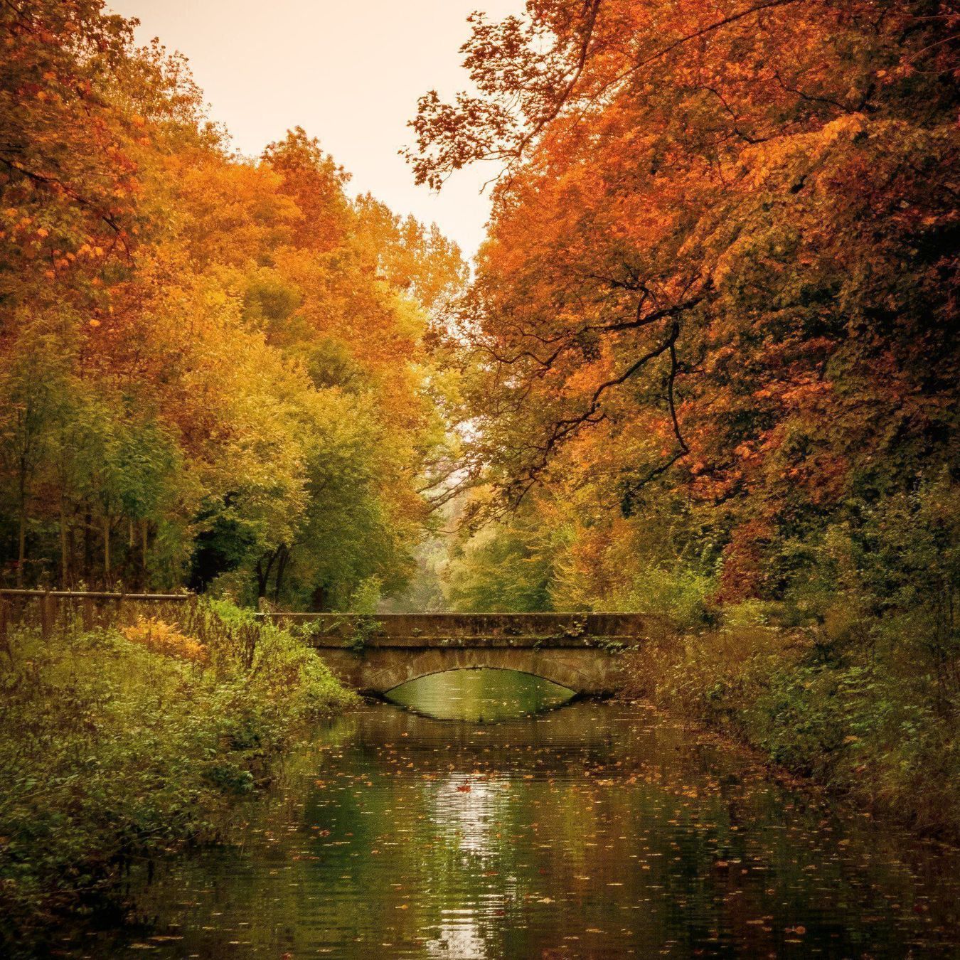 Foto & Immagini: Leinwandbild "Herbst" Basel 60x60cm – Nuovo (secondo la descrizione) da Schwanden GL venduto da FOTO-GALL