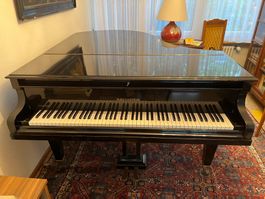 Bechstein L-167 Flügel, schwarz-poliert, Bj 1932