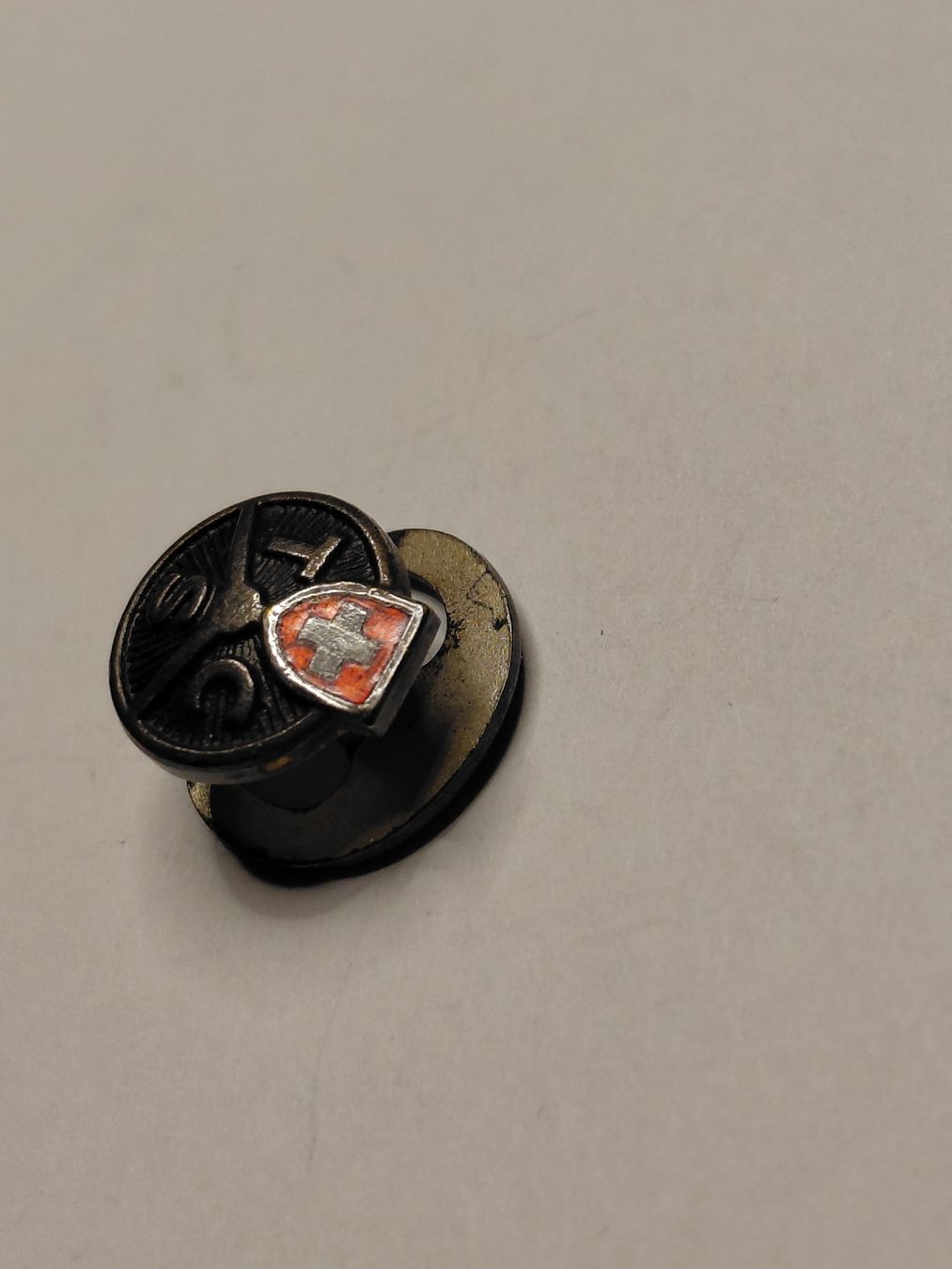 TCS Placchette & Badge: TCS  Pin – Usato da Bonaduz venduto da topolino052 1
