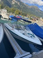 Motorboot Larson Sei 186 inkl. Trailer