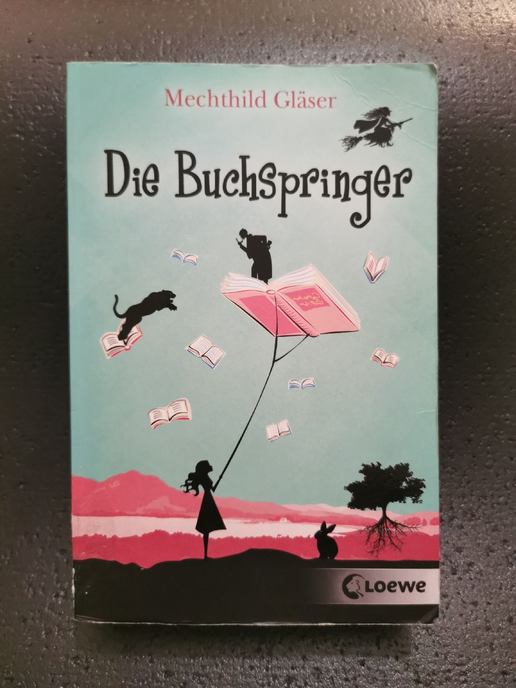 Bücher: Die Buchspringer – Neu (gemäss Beschreibung) aus Bern von cam_b7ts