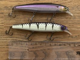 2x Illex Arnaud 110 F Wobbler – 11 cm