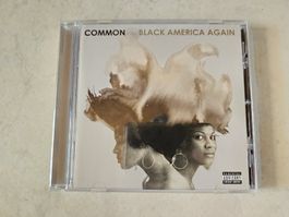 Common  -  Black America Again