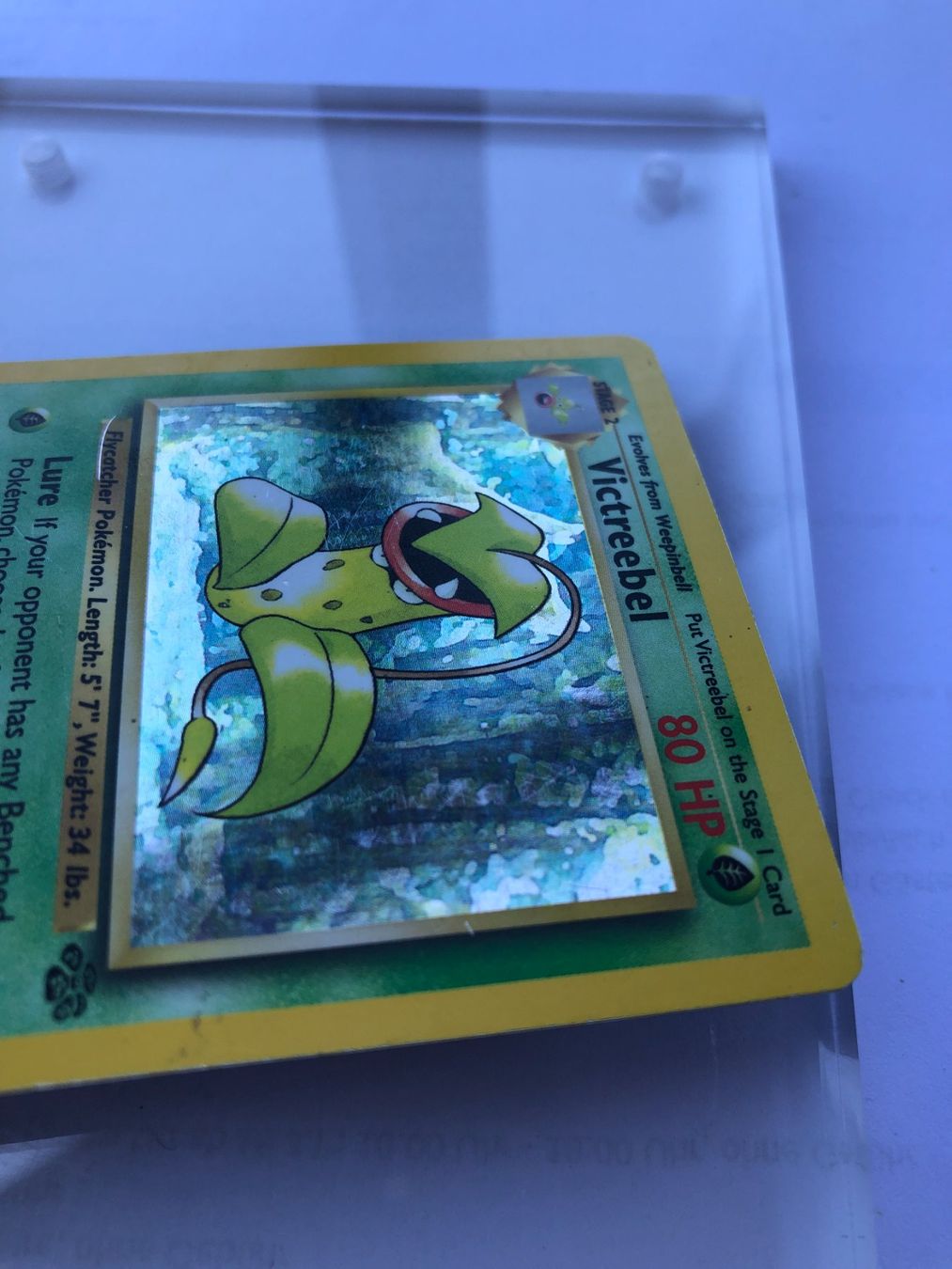 Carte collezionabili: Victreebel Holo Jungle - HP - ab 1.- – Usato da Giubiasco venduto da dan_pr8b 5
