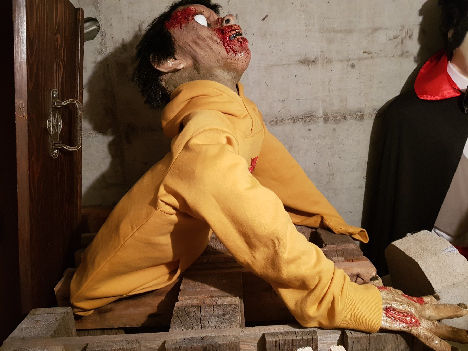 Tutte le decorazioni: HORROR/ HALLOWEEN ZOMBIE – Nuovo (secondo la descrizione) da Root venduto da LifestyleAccessoires 1