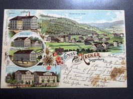 Litho AK  Necker Toggenburg, gel. 1901