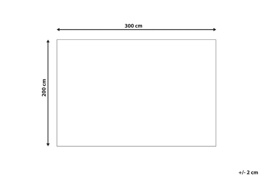 Teppiche: Teppich Goris 200x300 – Neu (gemäss Beschreibung) aus Oberuzwil von Dijana_TopDj89 3