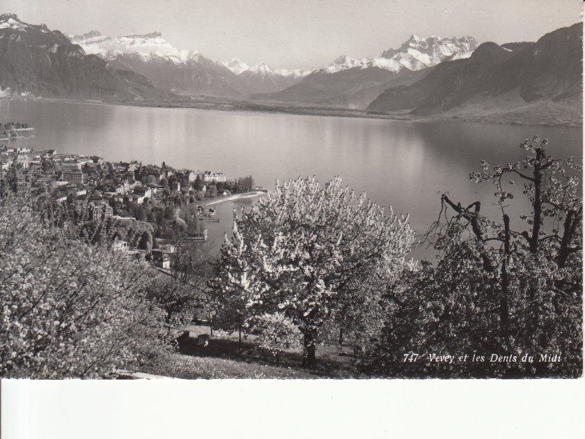 Ansichtskarten: Vevey ca. 1950 – Gebraucht aus Bürglen TG von StampGraf