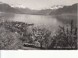 Vevey ca. 1950