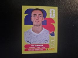 Panini WM 26 NZL 9