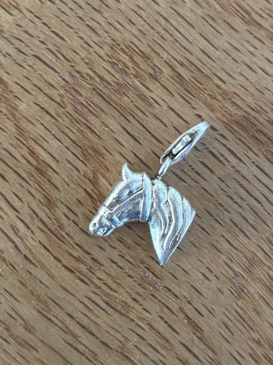 Thomas Sabo Pendentifs: Thomas Sabo Charm - Pferdekopf – D'occasion à Wetzikon ZH par ger_yvd6