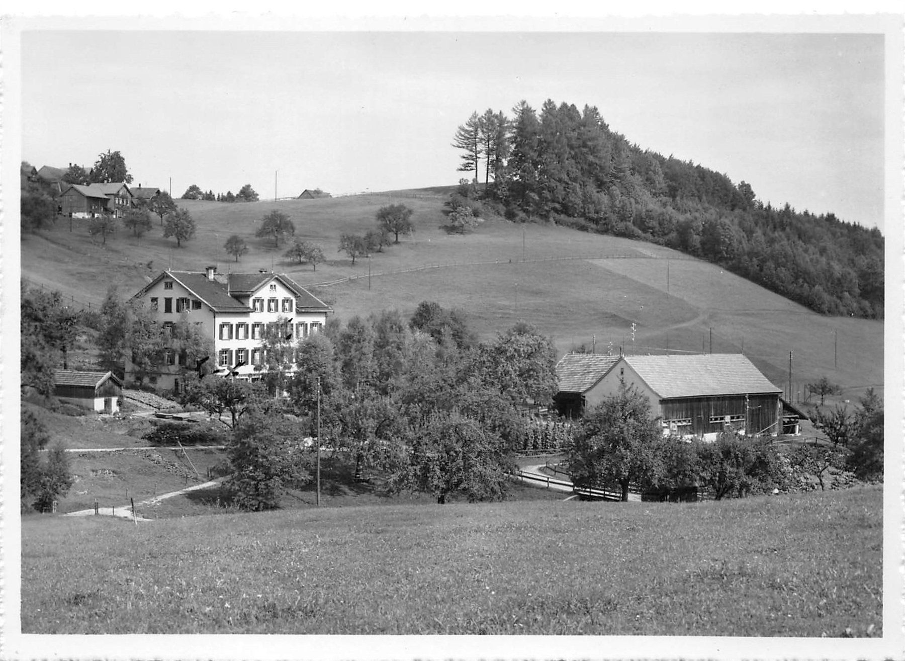 Cartes postales: Herisau, Kinderheim Wiesen – D'occasion à Ottikon b.Kemptth. par Neptun1974