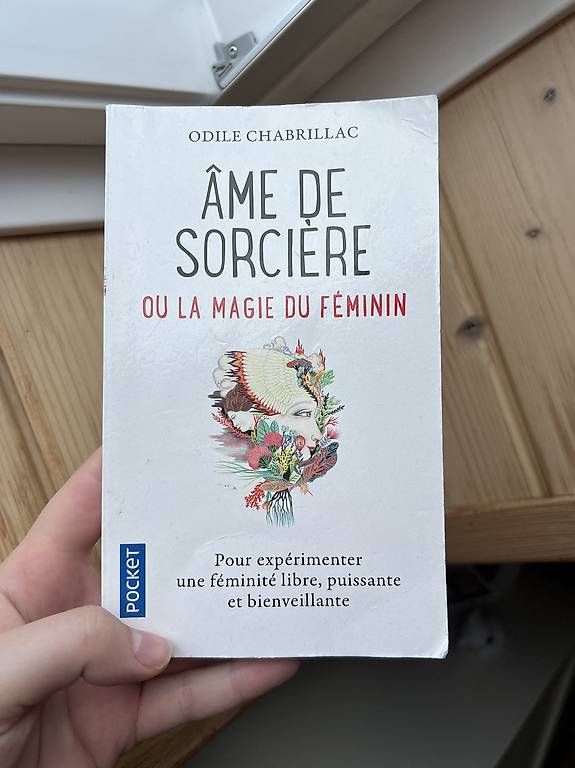 Bücher: Livre - Âme de sorcière - Odile Chabrillac – Gebraucht aus Bossonnens von noemie_01