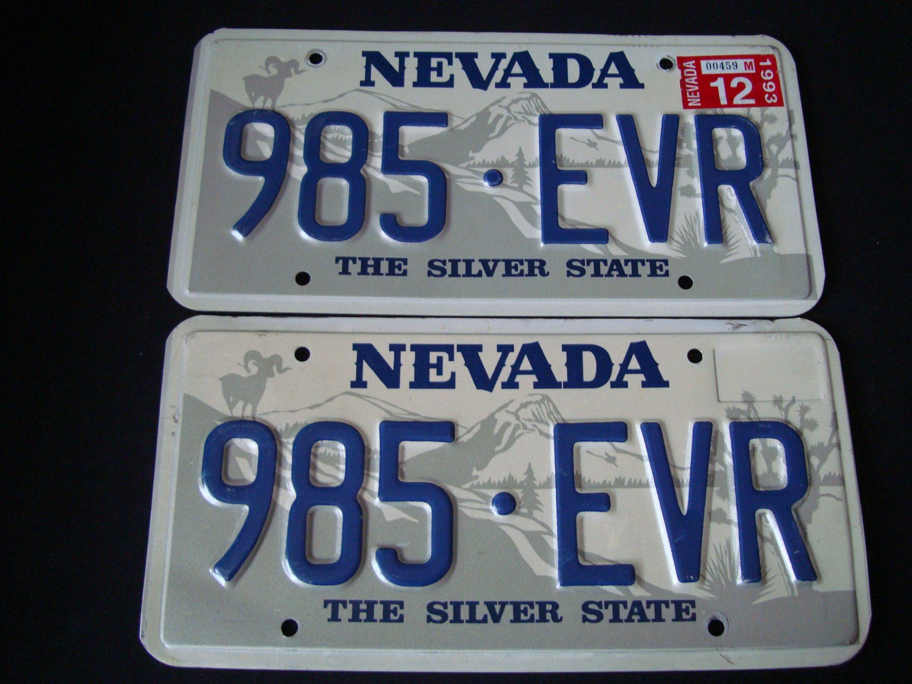 Insegne: NEVADA 985 EVR – Usato da Scherz venduto da 5246