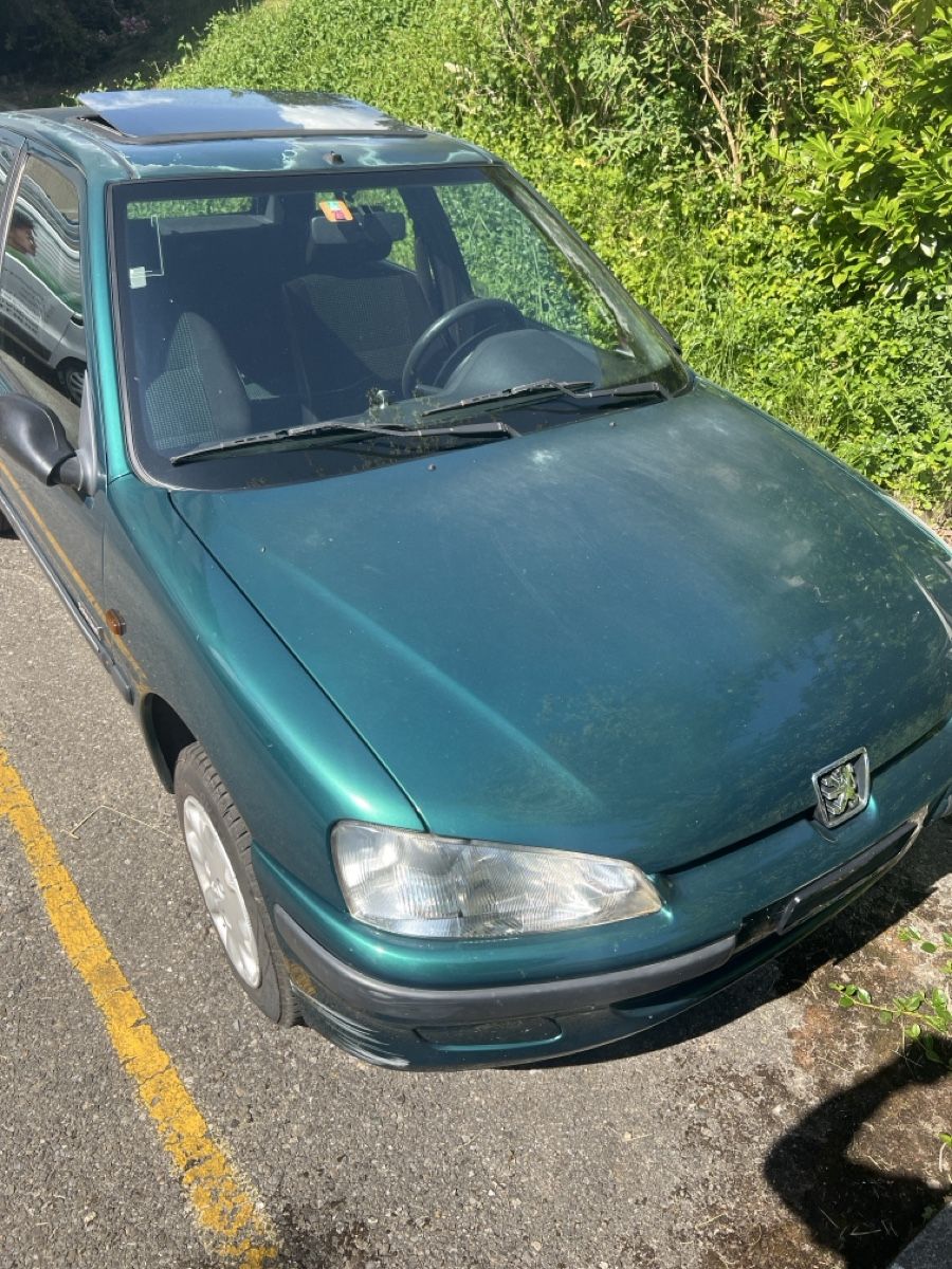 Peugeot Automobili: Peugeot 106 Color Line – Usato da Steckborn venduto da dnb_282s