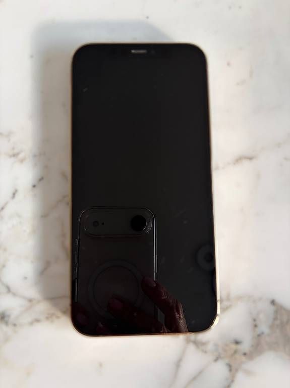 Telefoni cellulari / Smartphones: iPhone 12  – Usato da Pregassona venduto da jan_5827 1