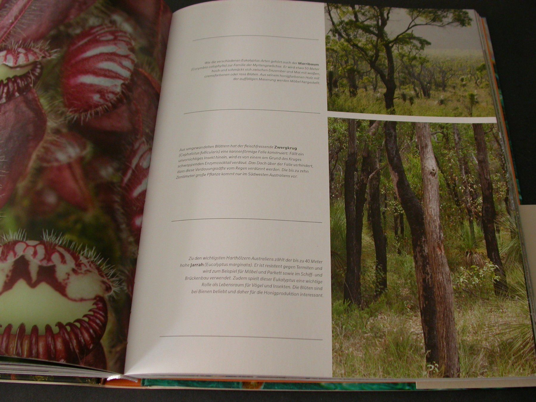 Libri: Die letzten Naturparadiese – Usato da Zürich venduto da Marcel6887 6