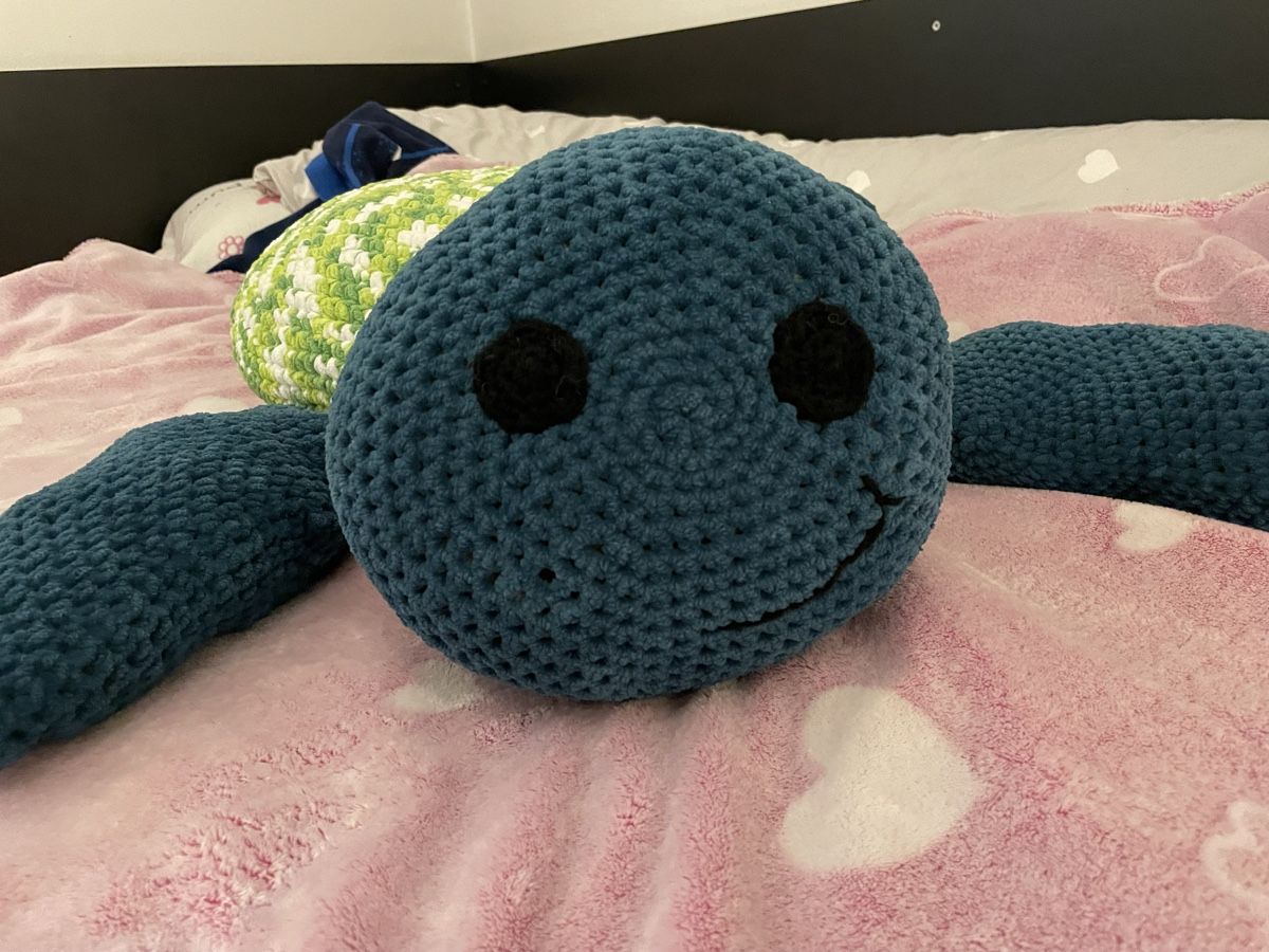 Lana: Hand gehäkelte Schildkröte amigurumi – Usato da Airolo venduto da Bagaion99 1