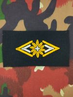 Spezialistenabzeichen Generalstab, Versuch, Variante 5