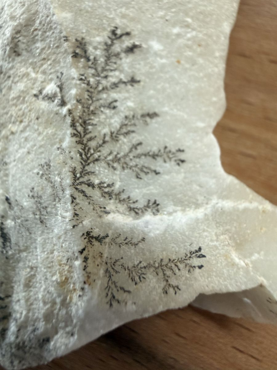 Minerali & Pietre curative:  Manganoxid-Dendrite – Usato da Grenchen venduto da Bastet007 6