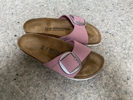 Madrid Big Buckle Gr. 41